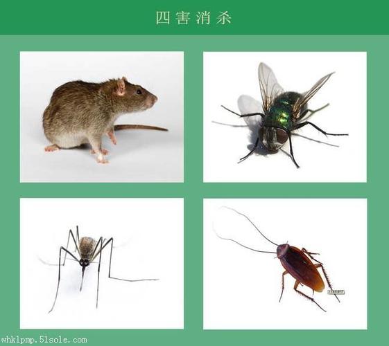 公司图片_武汉坤龙有害生物防治有限公司 - 搜了网