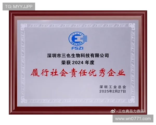 深圳排球队转型之路：从传统到创新的全新篇章探索