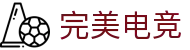 完美电竞•(中国)电子竞技-Perfect Esports